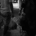 IMG_5121