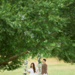 367cd8d6ab336cc3677e85d7c1544372