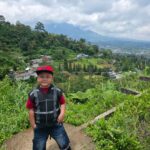 WhatsApp Image 2026-04-26 at 12.29.12