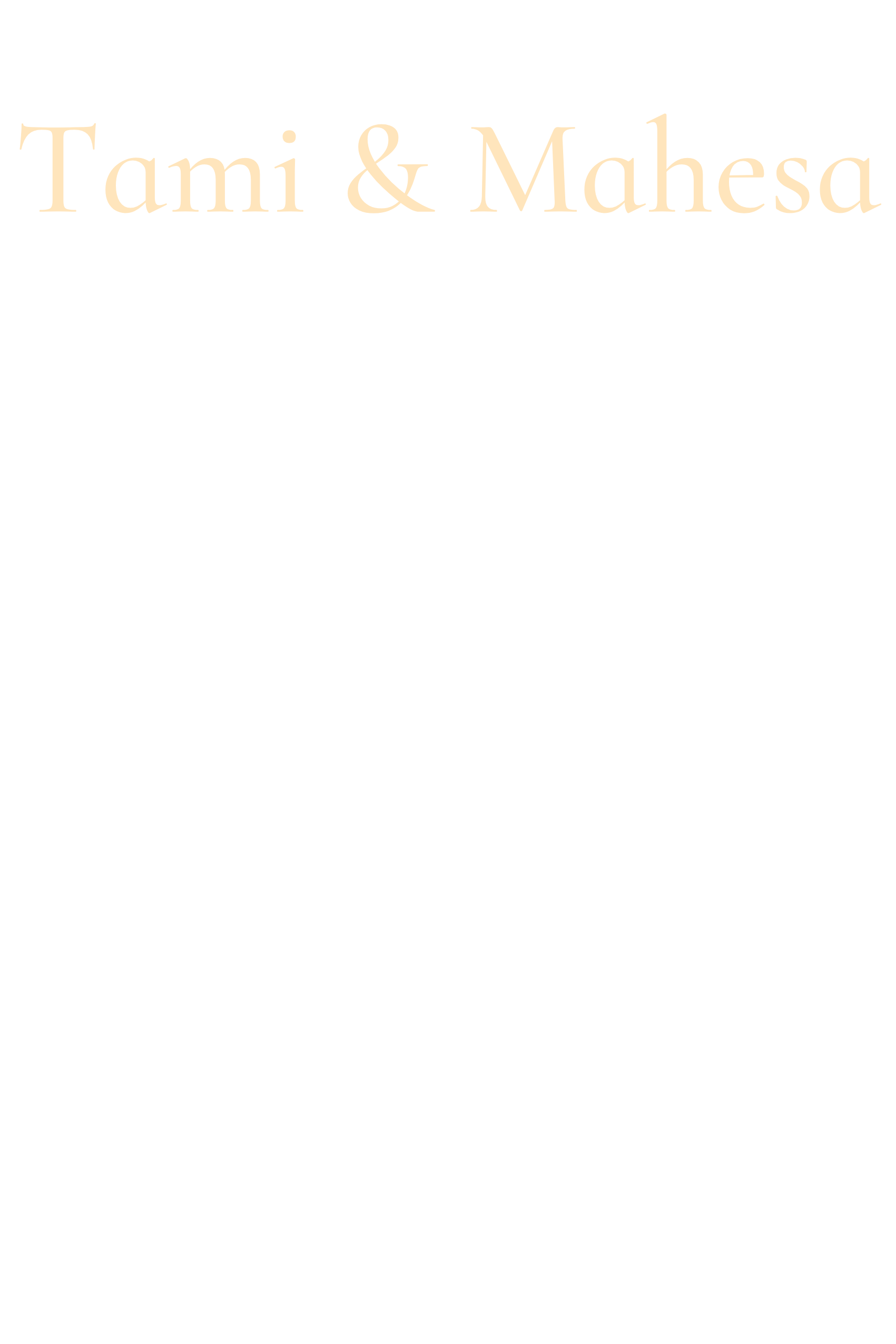 BACKGROUND CATALOG PHONE